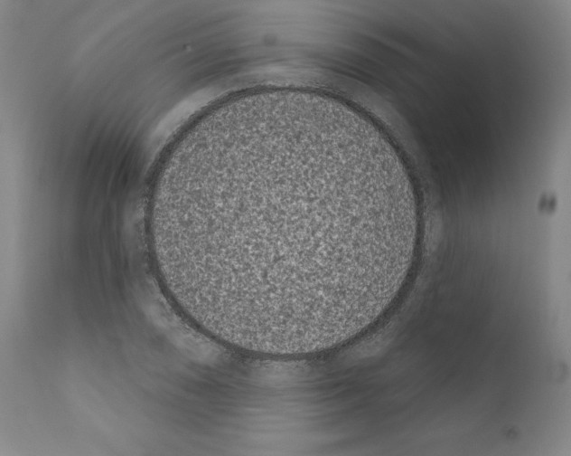 X0000111181074200908121106