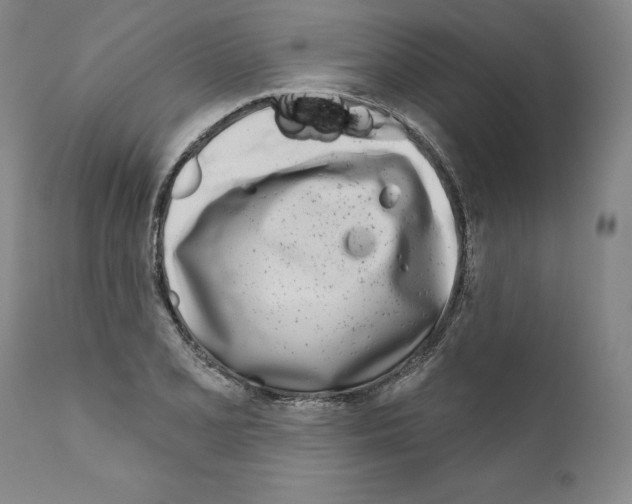 X0000111181077200908121106