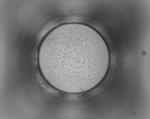 X0000111181078200908121106