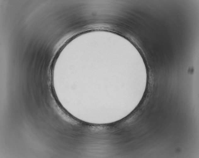 X0000111181082200908121106