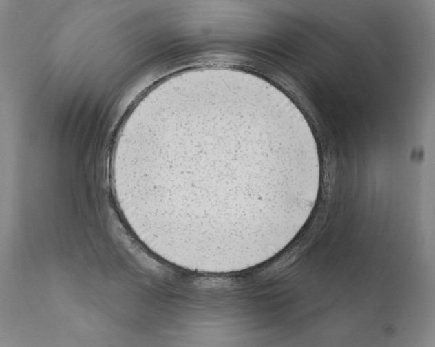 X0000111181083200908121106