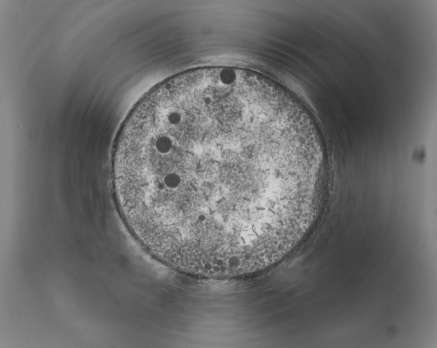 X0000111181087200908121106