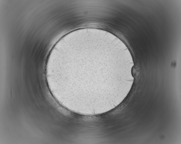 X0000111181091200908121106