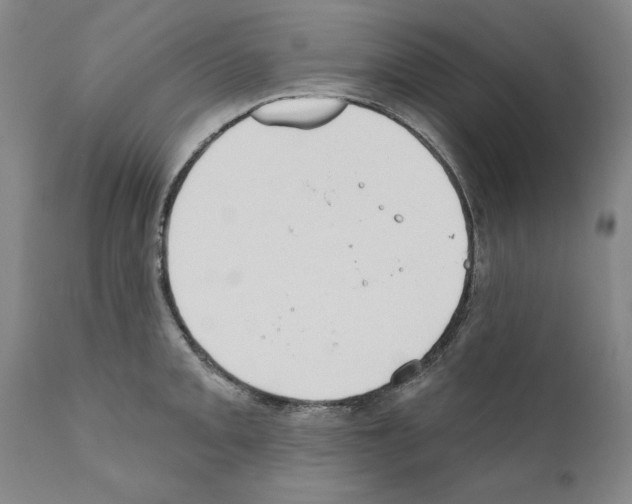 X0000111181093200908121105