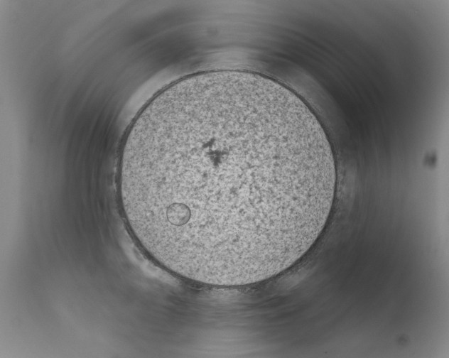 X0000111181094200908121105