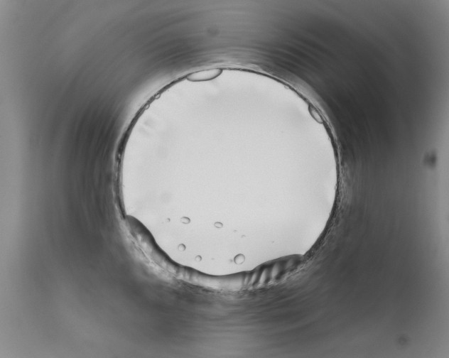 X0000111181096200908121105