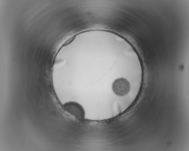 X0000111181097200908121105