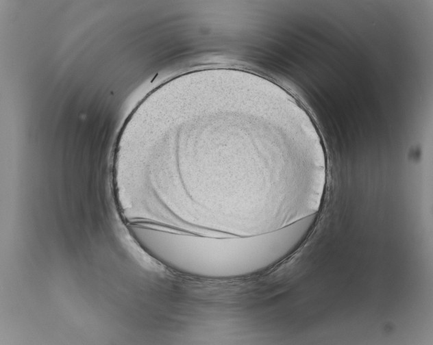 X0000111181098200908121105