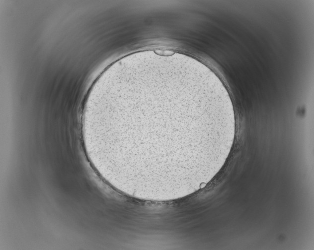 X0000111181099200908121105