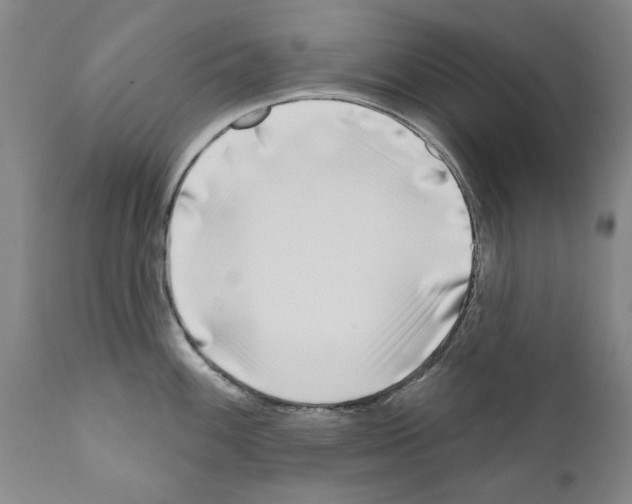 X0000111181100200908121105