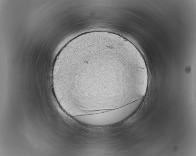 X0000111181101200908121105