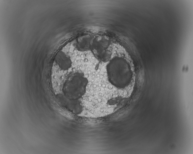 X0000111181105200908121105