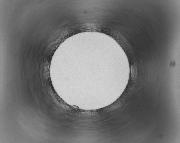 X0000111181107200908121105