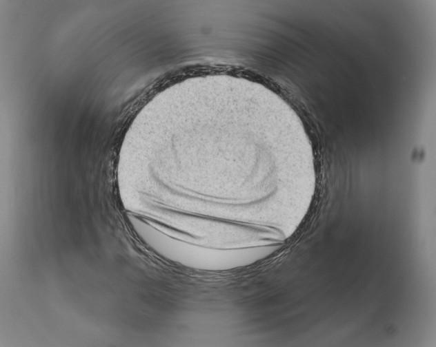 X0000111181110200908121105