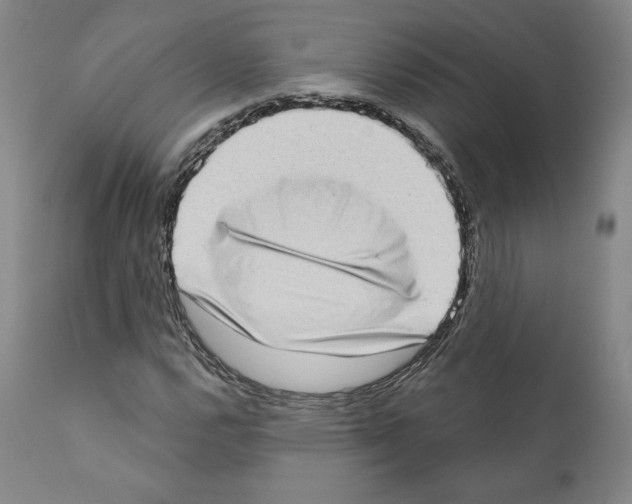 X0000111181112200908121105