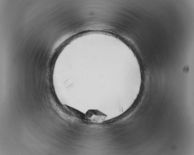 X0000111181114200908121105