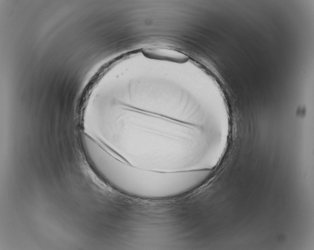 X0000111181116200908121105