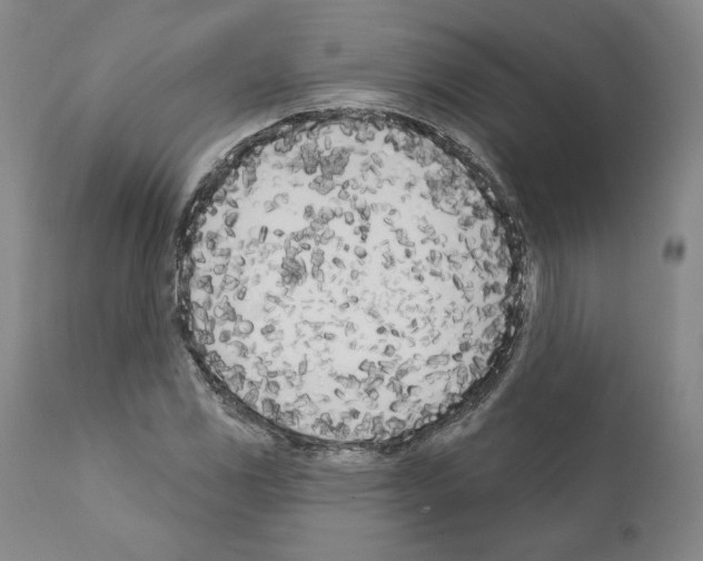 X0000111181117200908121105