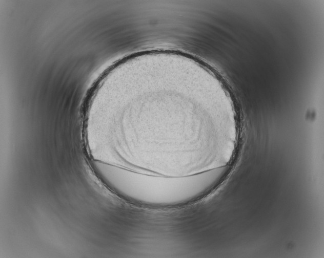 X0000111181118200908121105