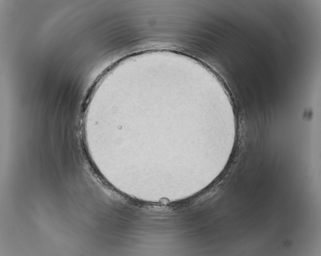 X0000111181119200908121105