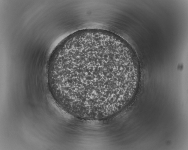 X0000111181120200908121105