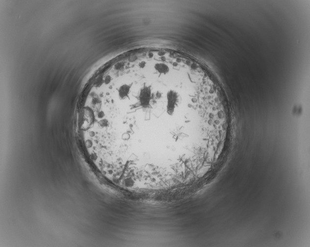 X0000111181125200908121105