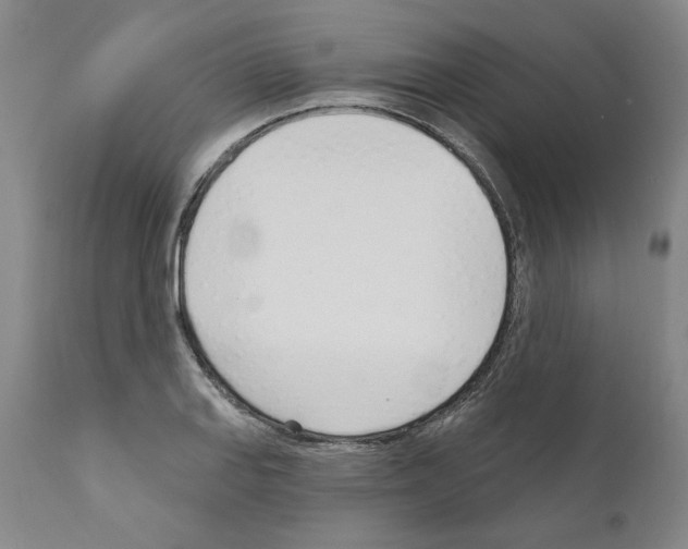 X0000111181127200908121105