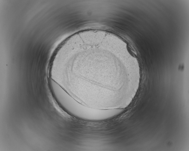 X0000111181128200908121105