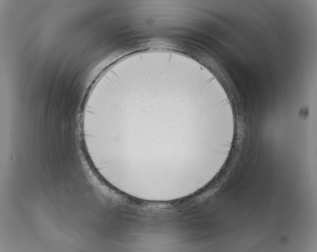 X0000111181133200908121105