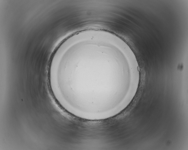 X0000111181134200908121105