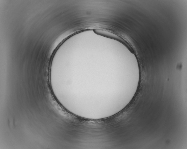 X0000111181138200908121105