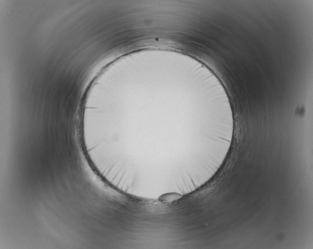 X0000111181139200908121105