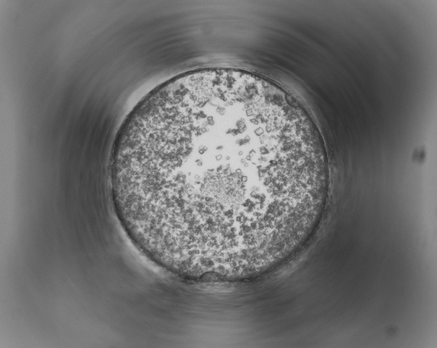 X0000111181141200908121105