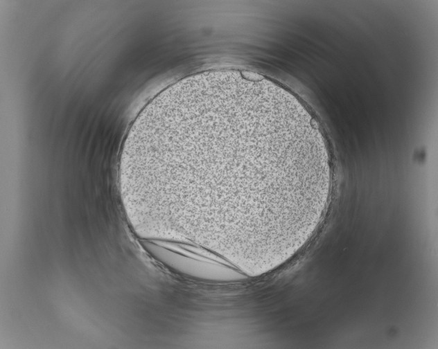 X0000111181145200908121105