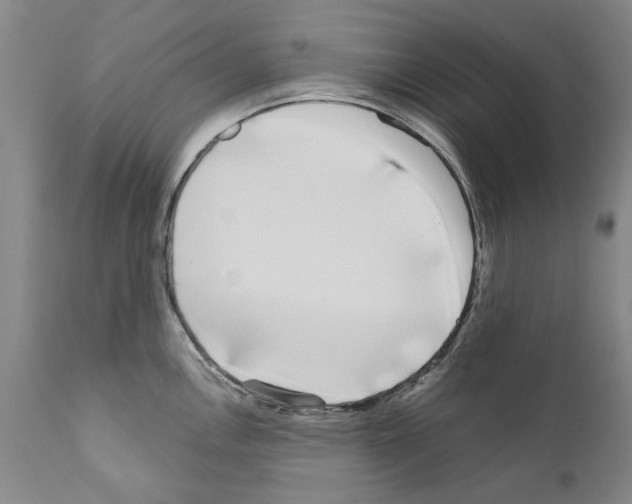 X0000111181146200908121105