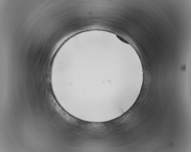 X0000111181148200908121105