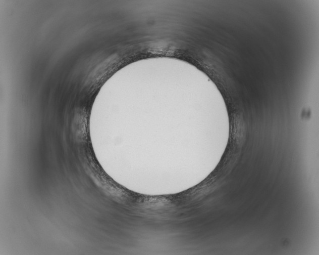 X0000111181154200908121105