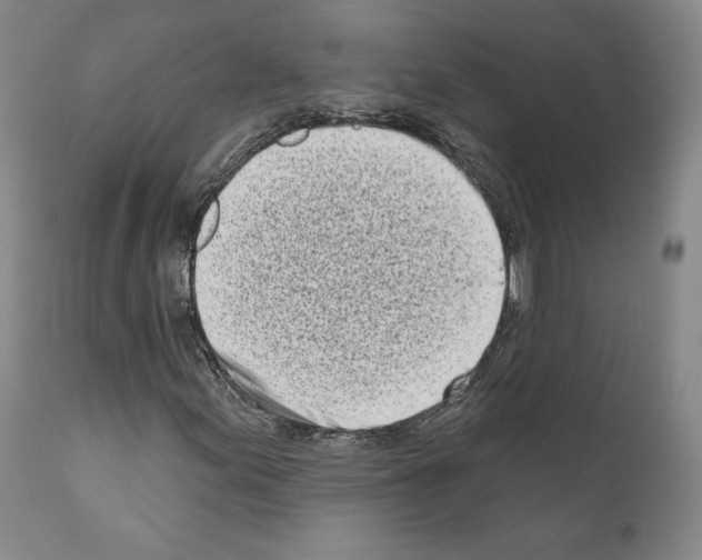 X0000111181155200908121105