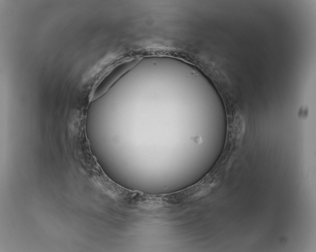 X0000111181157200908121105