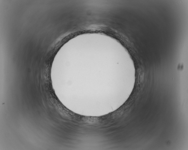 X0000111181158200908121105