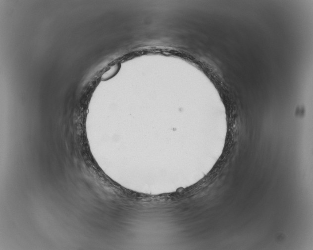 X0000111181159200908121105