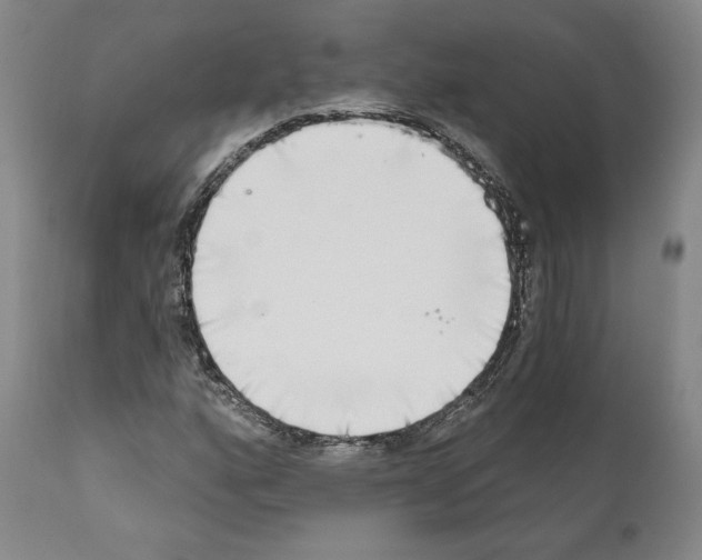 X0000111181160200908121105