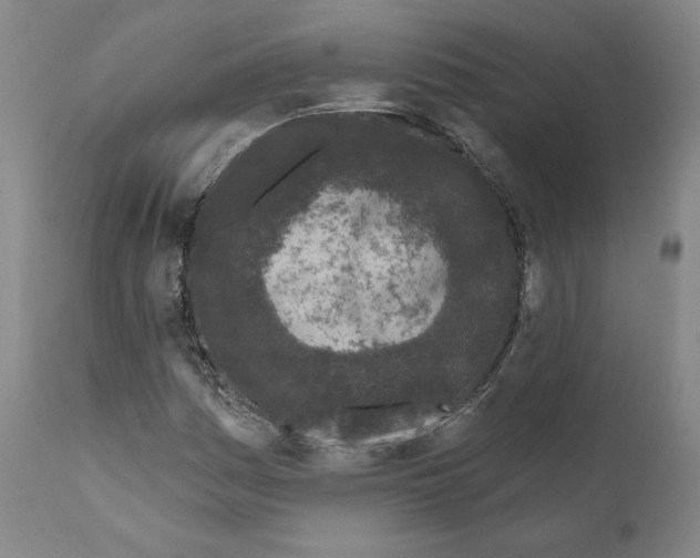 X0000111181161200908121105