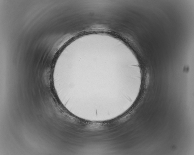 X0000111181162200908121105