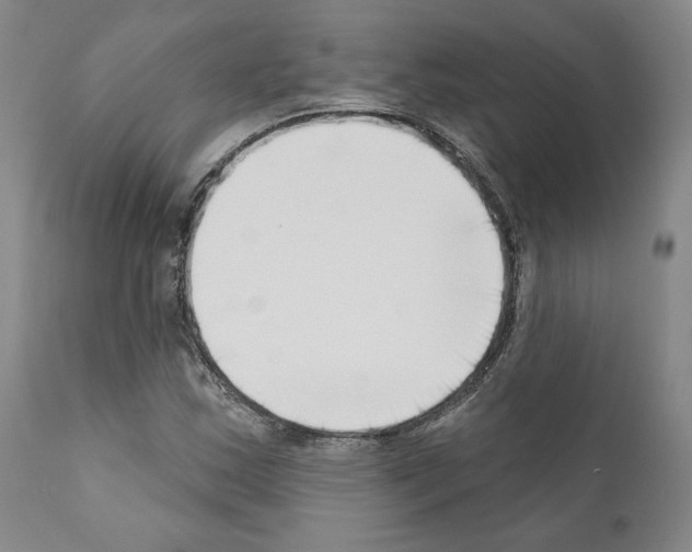 X0000111181163200908121105