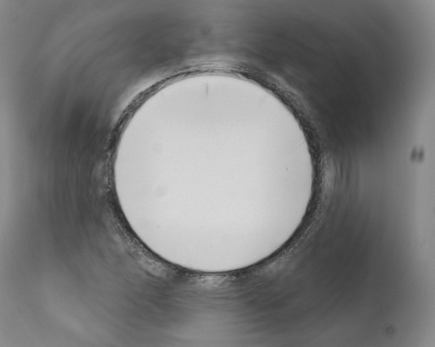 X0000111181166200908121104