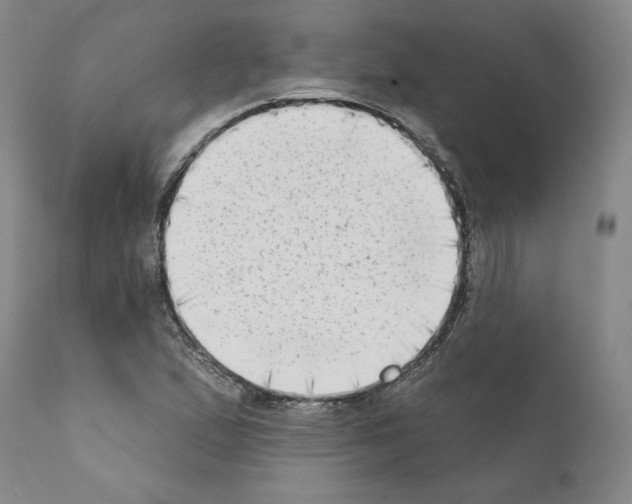 X0000111181167200908121104