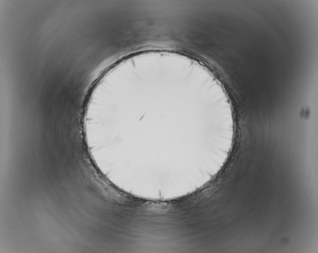 X0000111181168200908121104