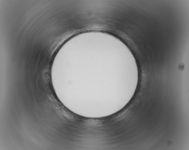 X0000111181170200908121104