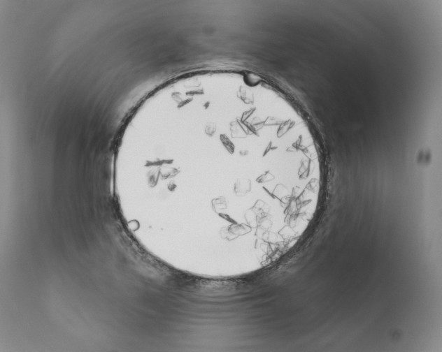 X0000111181171200908121104